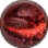 Warrior Class Guide
