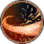 Warrior Class Guide