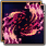 Ninja Class Guide